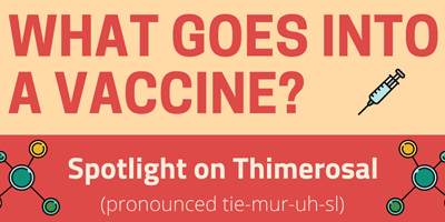 What Goes Into A Vaccine Spotlight On Thimerosal