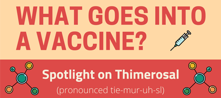 what goes into a vaccine spotlight on thimerosal