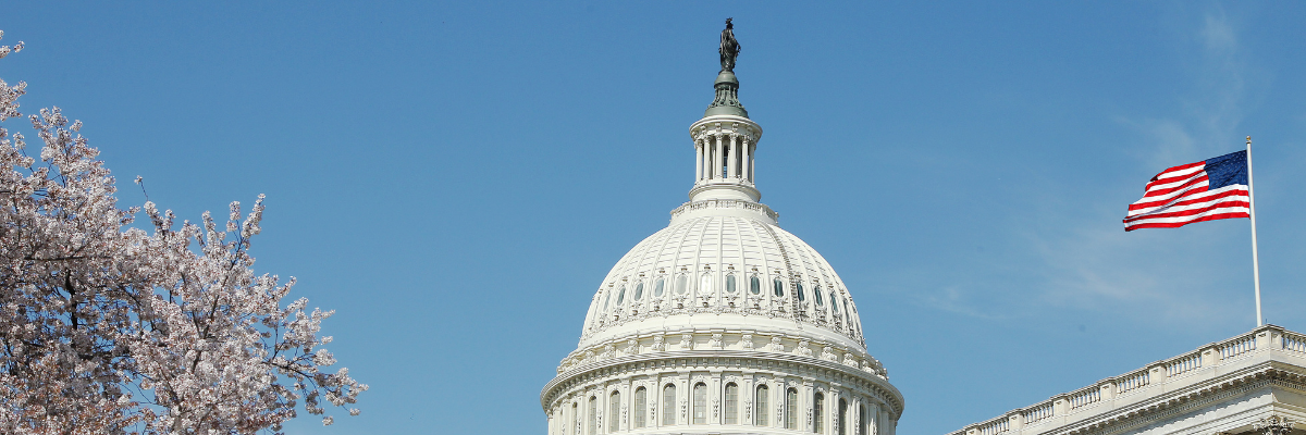 Research & Policy_122025